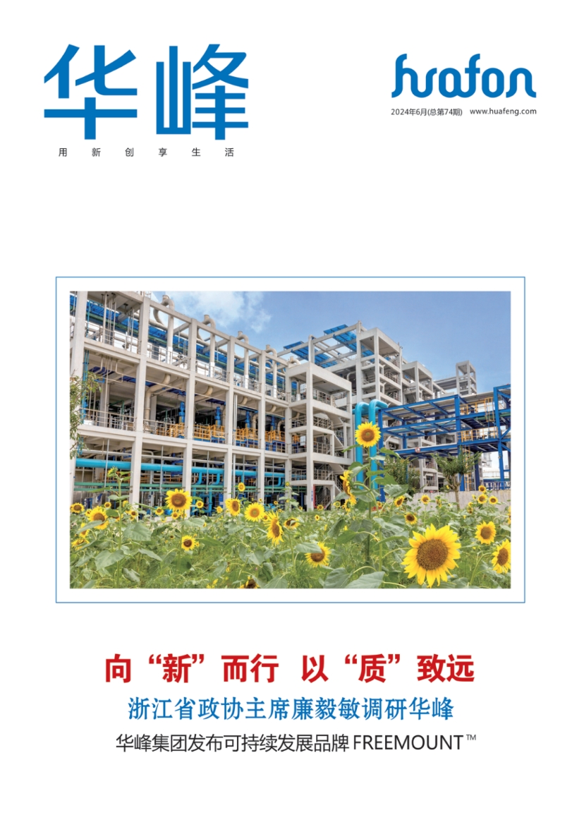 华峰集团官方网站建设