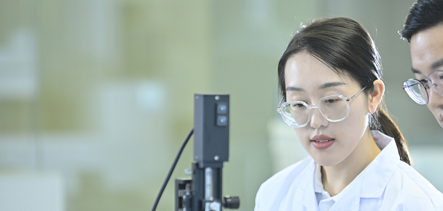 华峰集团官方网站建设