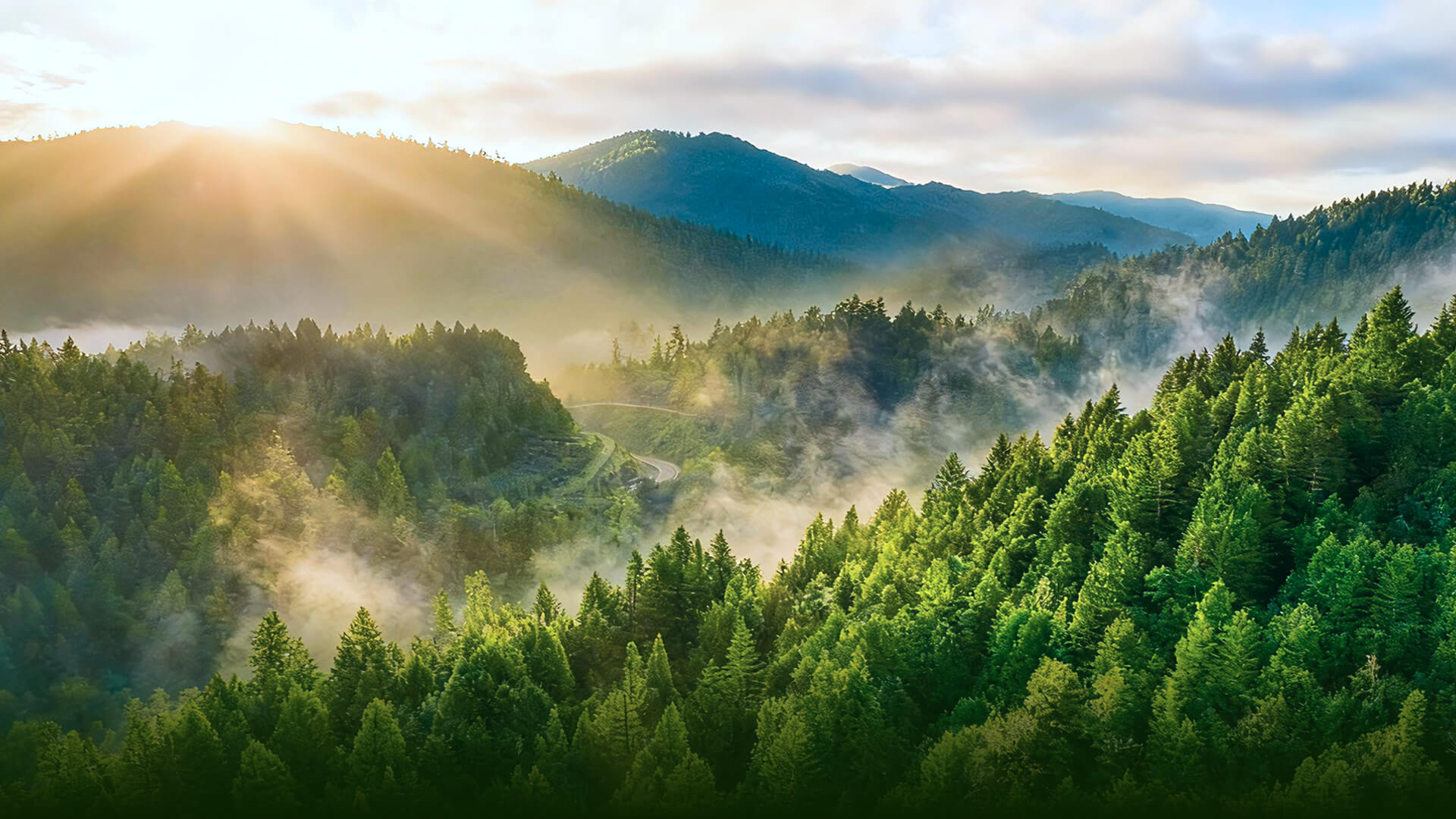 华峰集团官方网站建设